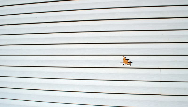 Vinyl Siding Repair Expert